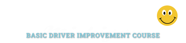 Michigan Online Basic Driver Improvement Course