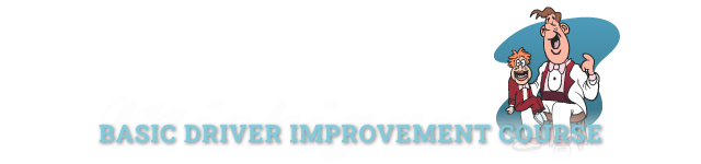 Michigan Online Basic Driver Improvement Course