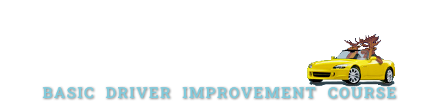 Michigan Online Basic Driver Improvement Course