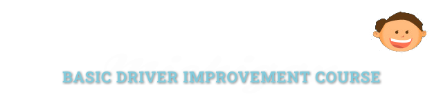 Michigan Online Basic Driver Improvement Course