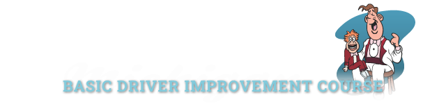 Michigan Online Basic Driver Improvement Course